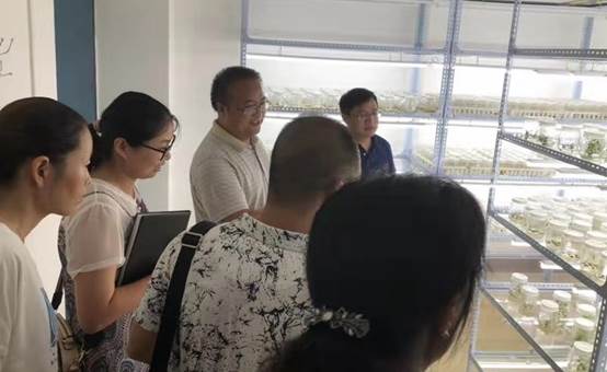 2e55080869d5bccd95b9bffa99fb4d5